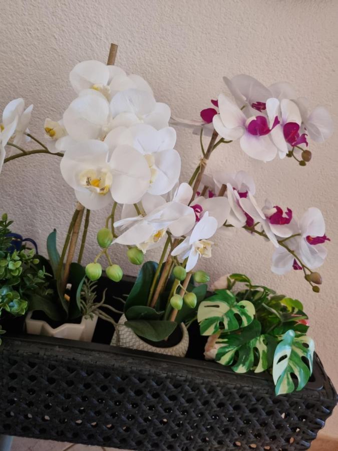 Alloggio Orchidea Monfalcone Extérieur photo